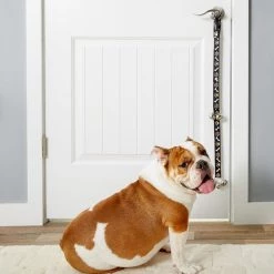 Advance Pet Potty Training Dog Bells 7 Advance Pet Potty Training Dog Bells -Bones & Chews || Coastal Pet Products Sales 114334 PT8. SY630 V1506977180