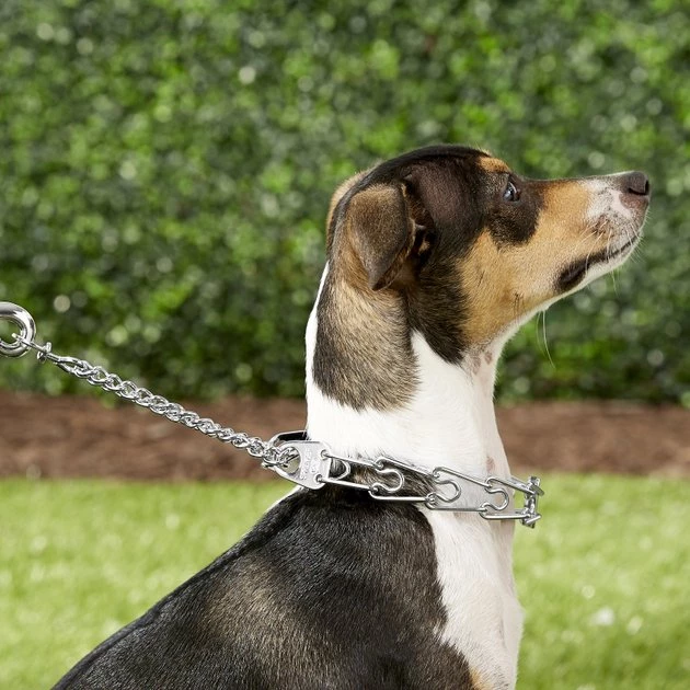 Herm Sprenger Ultra-Plus Training Dog Prong Collar 3 Herm Sprenger Ultra-Plus Training Dog Prong Collar - Image 3