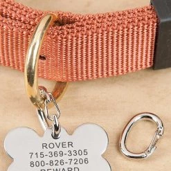 EZ Change Dog I.D. Clip, Nickel, Set of 2 -Bones & Chews || Coastal Pet Products Sales 115796 PT2. SY630 V1490623956