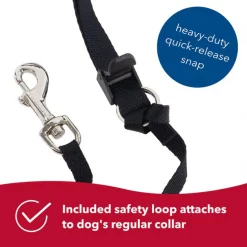 Walk 'n Train Polyester Dog Headcollar -Bones & Chews || Coastal Pet Products Sales 128168 PT4. SY630 V1628227645