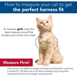 Comfort Soft Mesh Cat Harness 17 Comfort Soft Mesh Cat Harness -Bones & Chews || Coastal Pet Products Sales 128175 PT8. SY630 V1628223396
