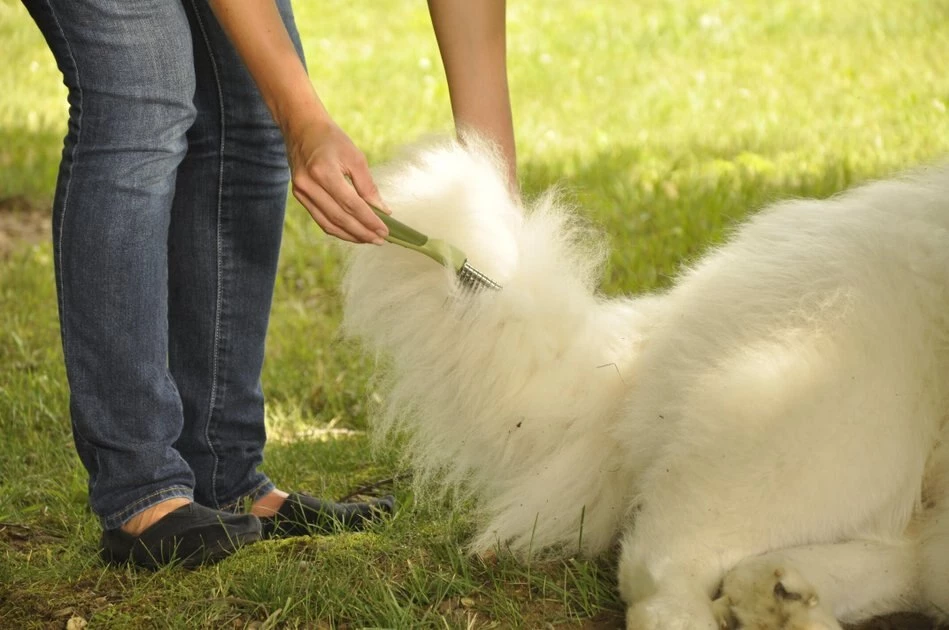 Safari De-Matting Dog Comb 2 Safari De-Matting Dog Comb - Image 2