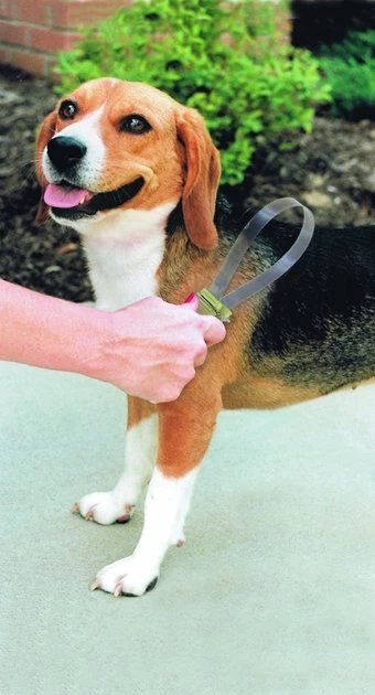 Safari Dual-Sided Shedding Blade Dog Grooming Tool 2 Safari Dual-Sided Shedding Blade Dog Grooming Tool - Image 2