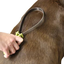 Safari Dual-Sided Shedding Blade Dog Grooming Tool 7 Safari Dual-Sided Shedding Blade Dog Grooming Tool -Bones & Chews || Coastal Pet Products Sales 128185 PT3. SY630 V1497272599