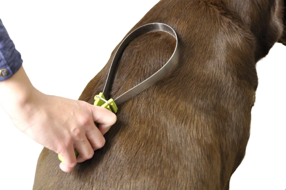 Safari Dual-Sided Shedding Blade Dog Grooming Tool 4 Safari Dual-Sided Shedding Blade Dog Grooming Tool - Image 4