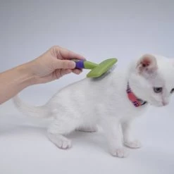 Li'l Pals Coated Tips Cat Slicker Brush -Bones & Chews || Coastal Pet Products Sales 128191 PT2. SY630 V1497288223