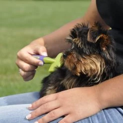 Li'l Pals Coated Tips Dog Slicker Brush 5 Li'l Pals Coated Tips Dog Slicker Brush -Bones & Chews || Coastal Pet Products Sales 128196 PT2. SY630 V1497272313