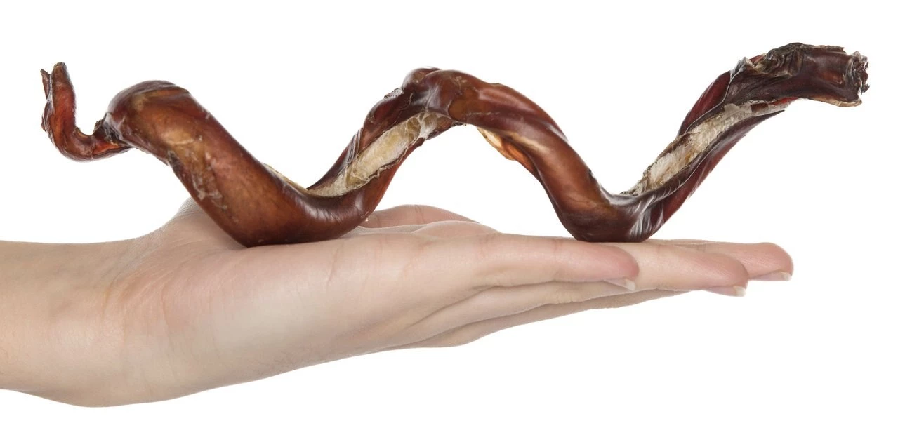 Bones & Chews Made in USA Smoked Curly Bully Stick 6-9" Dog Chew Treat 2 Bones & Chews Made in USA Smoked Curly Bully Stick 6-9" Dog Chew Treat - Image 2