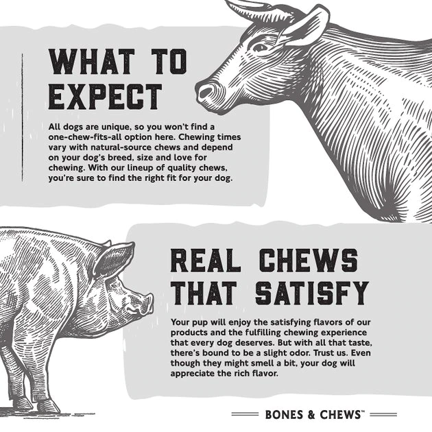 Bones & Chews Made in USA Pig Ear Chews Dog Treats 4 Bones & Chews Made in USA Pig Ear Chews Dog Treats - Image 4