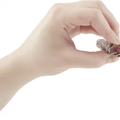 Bones & Chews Made in USA Steer Stick 6" Dog Chew Treat 7 Bones & Chews Made in USA Steer Stick 6" Dog Chew Treat -Bones & Chews || Coastal Pet Products Sales 142251 PT2. SY630 V1521046103