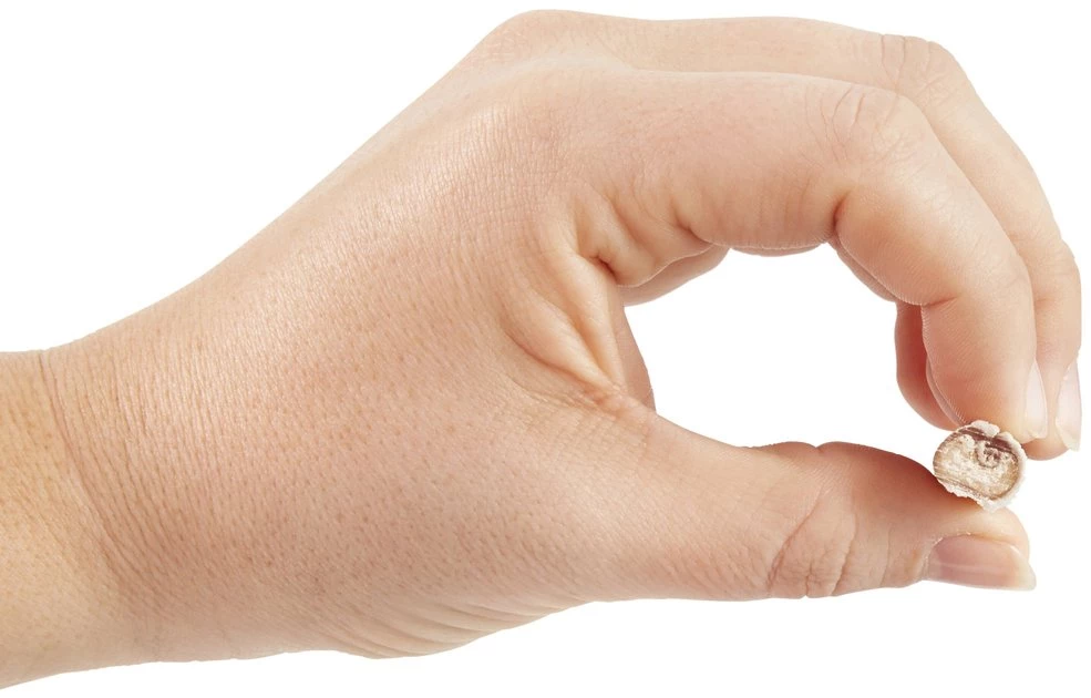 Bones & Chews Bully Stick 4" 3 Bones & Chews Bully Stick 4" - Image 3