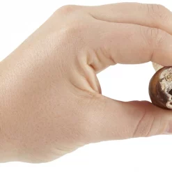 Bones & Chews Made in USA 12" Twisted Bully Stick Dog Treat -Bones & Chews || Coastal Pet Products Sales 158349 PT2. SY630 V1555940828