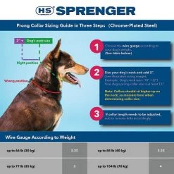 Herm Sprenger Ultra-Plus Training Dog Prong Collar with ClicLock -Bones & Chews || Coastal Pet Products Sales 158598 PT2. SY630 V1628227277
