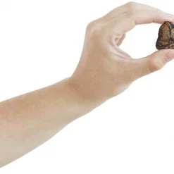 Bones & Chews All-Natural Beef Lung Training Bites Dehydrated Dog Treats -Bones & Chews || Coastal Pet Products Sales 173302 PT3. SY630 V1568044961