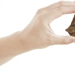 Bones & Chews All-Natural Beef Lung Filets Dehydrated Dog Treats 10 Bones & Chews All-Natural Beef Lung Filets Dehydrated Dog Treats -Bones & Chews || Coastal Pet Products Sales 173306 PT3. SY630 V1568045290