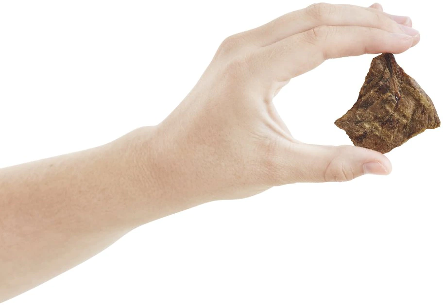 Bones & Chews All-Natural Beef Lung Filets Dehydrated Dog Treats 4 Bones & Chews All-Natural Beef Lung Filets Dehydrated Dog Treats - Image 4