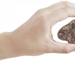 Bones & Chews All-Natural Lamb Lung Filets Dehydrated Dog Treats -Bones & Chews || Coastal Pet Products Sales 173308 PT3. SY630 V1568045527