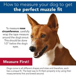 Coastal Pet Products Best Fit Adjustable Comfort Dog Muzzle, Black 7 Coastal Pet Products Best Fit Adjustable Comfort Dog Muzzle, Black -Bones & Chews || Coastal Pet Products Sales 195606 PT3. SY630 V1628193414
