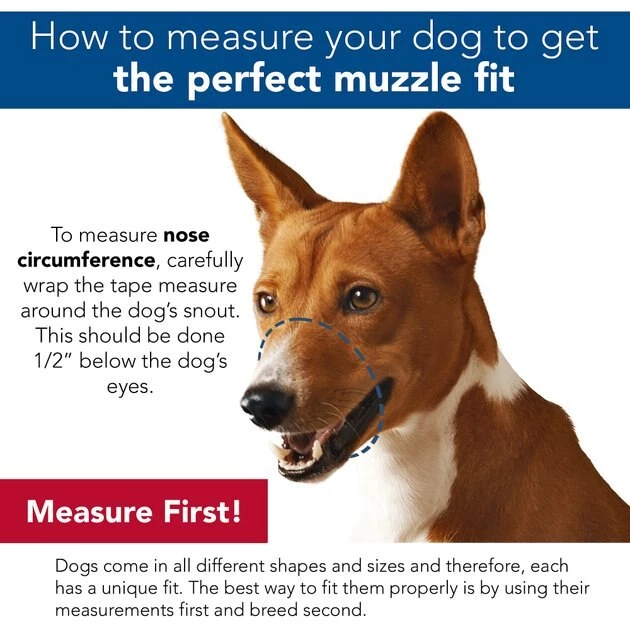 Coastal Pet Products Best Fit Adjustable Comfort Dog Muzzle, Black 4 Coastal Pet Products Best Fit Adjustable Comfort Dog Muzzle, Black - Image 4