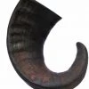 Bones & Chews Water Buffalo Horn Large Dog Treat, 1 ct