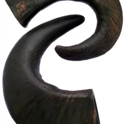 Bones & Chews Water Buffalo Horn Large Dog Treats, 2ct