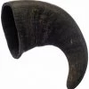 Bones & Chews Water Buffalo Horn Medium Dog Treat, 1ct