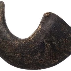 Bones & Chews Water Buffalo Horn Small Dog Treat, 1ct