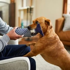Bones & Chews Rope Whale Crinkle with Bone Dog Toy, 12" -Bones & Chews || Coastal Pet Products Sales 247067 PT2. SY630 V1604961431