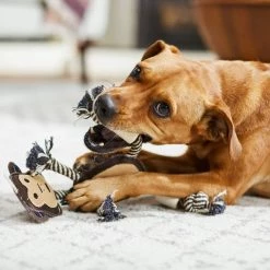 Bones & Chews Rope Monkey with Bone Dog Toy, 14" -Bones & Chews || Coastal Pet Products Sales 247071 PT2. SY630 V1603166808