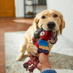 Bones & Chews Rope Toucan with Hoof Dog Toy, 10" -Bones & Chews || Coastal Pet Products Sales 247075 PT2. SY630 V1604965618