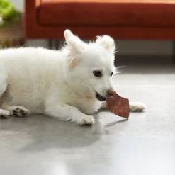 Bones & Chews Beef Basted Rawhide Chips Dog Treats, 16-oz 9 Bones & Chews Beef Basted Rawhide Chips Dog Treats, 16-oz -Bones & Chews || Coastal Pet Products Sales 269434 PT3. SY630 V1618434132