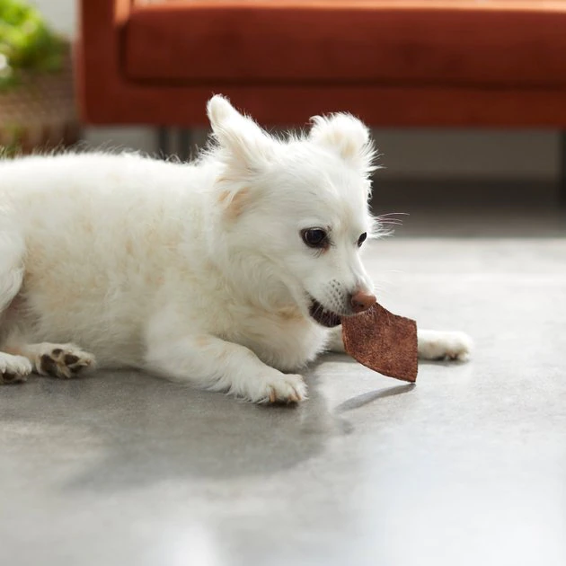 Bones & Chews Beef Basted Rawhide Chips Dog Treats, 16-oz 4 Bones & Chews Beef Basted Rawhide Chips Dog Treats, 16-oz - Image 4