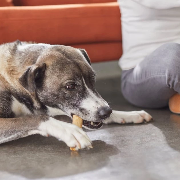 Bones & Chews 5" Stuffed Rawhide Roll Dog Treats, 10 count 5 Bones & Chews 5" Stuffed Rawhide Roll Dog Treats, 10 count - Image 5