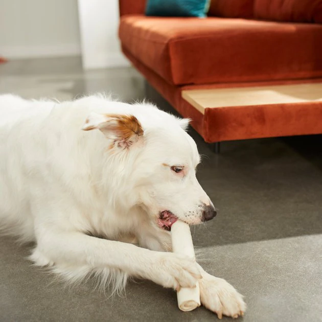 Bones & Chews 7" Rawhide Retriever Roll Dog Treats, 10 count 4 Bones & Chews 7" Rawhide Retriever Roll Dog Treats, 10 count - Image 4