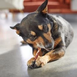 Bones & Chews Triple Flavor Rawhide Twist Dog Treats, 40 count 9 Bones & Chews Triple Flavor Rawhide Twist Dog Treats, 40 count -Bones & Chews || Coastal Pet Products Sales 269530 PT3. SY630 V1619791977