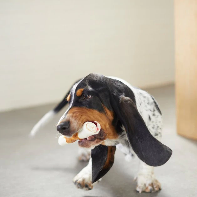 Bones & Chews Triple Flavor Rawhide Roll Dog Treats, 2 count 4 Bones & Chews Triple Flavor Rawhide Roll Dog Treats, 2 count - Image 4