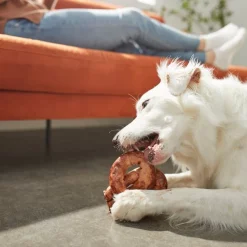 Bones & Chews || Coastal Pet Products Sales -Bones & Chews || Coastal Pet Products Sales 269536 PT3. SY630 V1618434160