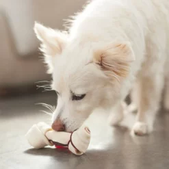 Bones & Chews 5" Chicken Flavor Rawhide Bone Dog Treats, 4 count -Bones & Chews || Coastal Pet Products Sales 269540 PT3. SY630 V1624037572