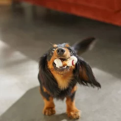 Bones & Chews Triple Flavor Mini Bone Rawhide Dog Treats, 25 count 9 Bones & Chews Triple Flavor Mini Bone Rawhide Dog Treats, 25 count -Bones & Chews || Coastal Pet Products Sales 269544 PT3. SY630 V1618434414