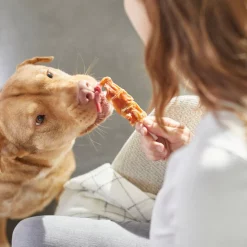 Bones & Chews Chicken Wrapped Rawhide Skewer Dog Treats, 1-lb -Bones & Chews || Coastal Pet Products Sales 269546 PT3. SY630 V1618434423