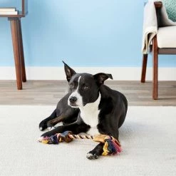Bones & Chews Made in USA Cotton Rope with Hooves Toy + Bully Stick 6" Dog Treats -Bones & Chews || Coastal Pet Products Sales 292786 PT3. SY630 V1619990531