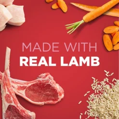 Iams||Bones & Chews Iams ProActive Health Adult With Lamb & Rice Pate Canned Food + Bones & Chews All Natural Grain-Free Jerky Made with Real Beef Dog Treats -Bones & Chews || Coastal Pet Products Sales 293244 PT7. SY630 V1658718001