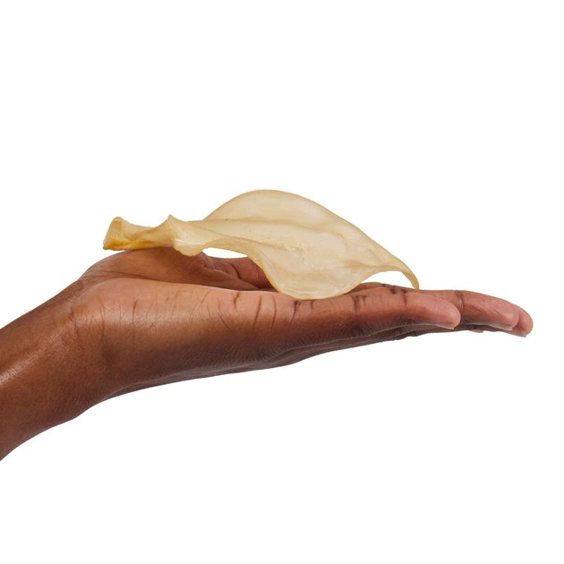 Bones & Chews 3-4" Mini Water Buffalo Ear Dog Chews 3 Bones & Chews 3-4" Mini Water Buffalo Ear Dog Chews - Image 3