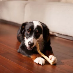 Bones & Chews 11" Water Buffalo Tail Dog Chews 11 Bones & Chews 11" Water Buffalo Tail Dog Chews -Bones & Chews || Coastal Pet Products Sales 297591 PT4. SY630 V1637096247