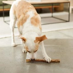 Bones & Chews 12" Water Buffalo Bully Wrap Dog Treats -Bones & Chews || Coastal Pet Products Sales 297597 PT4. SY630 V1637096621