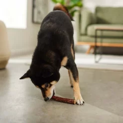 Bones & Chews 6" Water Buffalo Bully Wrap Dog Treats -Bones & Chews || Coastal Pet Products Sales 297600 PT4. SY630 V1637096959