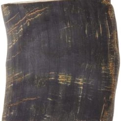 Bones & Chews || Coastal Pet Products Sales -Bones & Chews || Coastal Pet Products Sales 297607 PT1. SY630 V1637096522