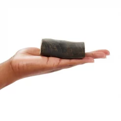 Bones & Chews Peanut Butter Flavor Stuffed Water Buffalo Horn Dog Treats -Bones & Chews || Coastal Pet Products Sales 297607 PT2. SY630 V1637096292