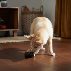 Bones & Chews Peanut Butter Flavor Stuffed Water Buffalo Horn Dog Treats -Bones & Chews || Coastal Pet Products Sales 297607 PT4. SY630 V1637096573