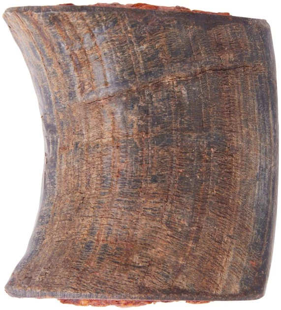 Bones & Chews Bully Stuffed Water Buffalo Horn Dog Treats 2 Bones & Chews Bully Stuffed Water Buffalo Horn Dog Treats - Image 2